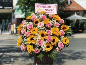 Shop Hoa Tươi Thị trấn Phước Dân, Ninh Phước, Ninh Thuận